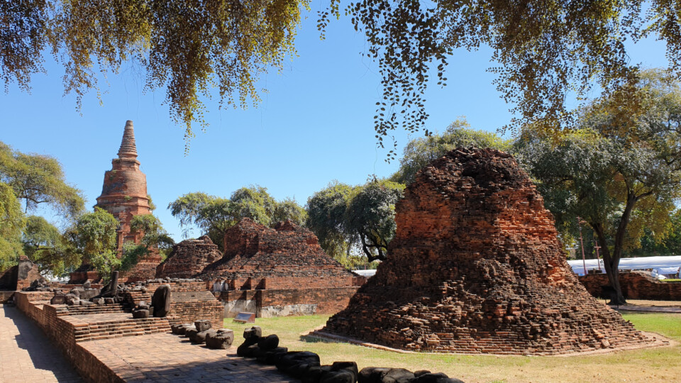 Ancient red‑brick temple ruins with hanging trees surrounding them, under a clear blue sky. A tall stupa is visible in the background. Picture taken in Ayuthaya, Thailand.