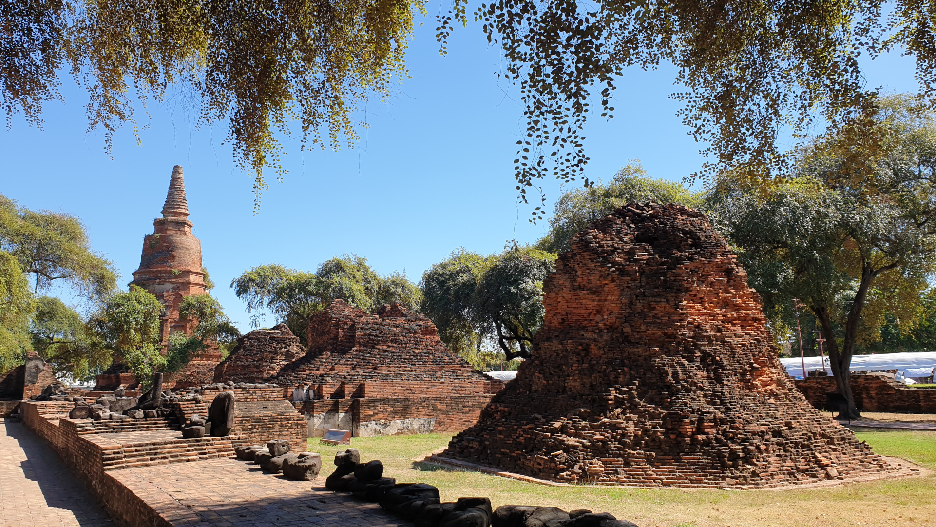 Ancient red‑brick temple ruins with hanging trees surrounding them, under a clear blue sky. A tall stupa is visible in the background. Picture taken in Ayuthaya, Thailand.