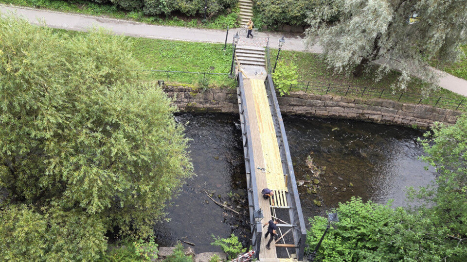 more work on the bridge