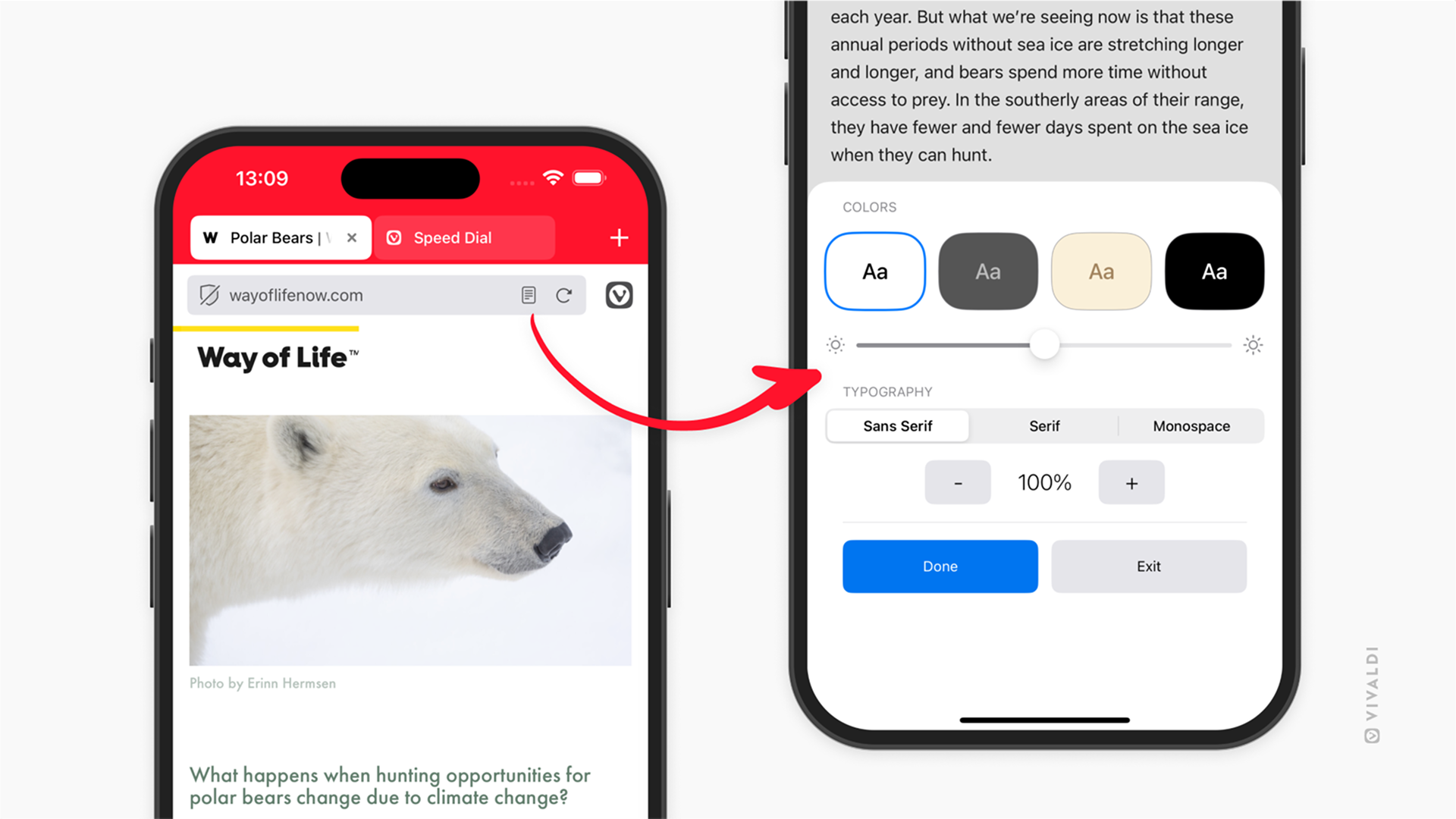 iOS版 Vivaldi の 2 枚の画像。1 枚目は開いているタブを表示し、リーダービューアイコンから 2 枚目の画像(リーダービュー設定を表示)へ矢印が伸びている。