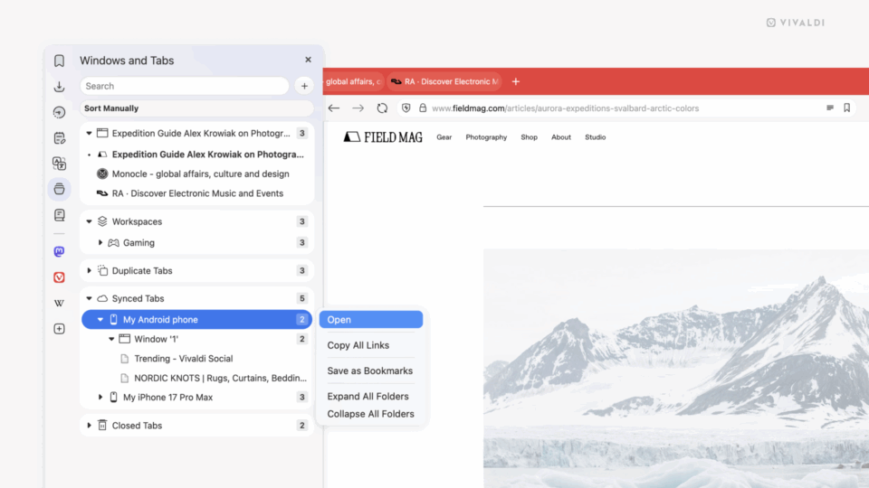 Vivaldi on Desktop with the Window Panel highlighted, showing how you can now open at once all of the synced tabs in one device or a single workspace.