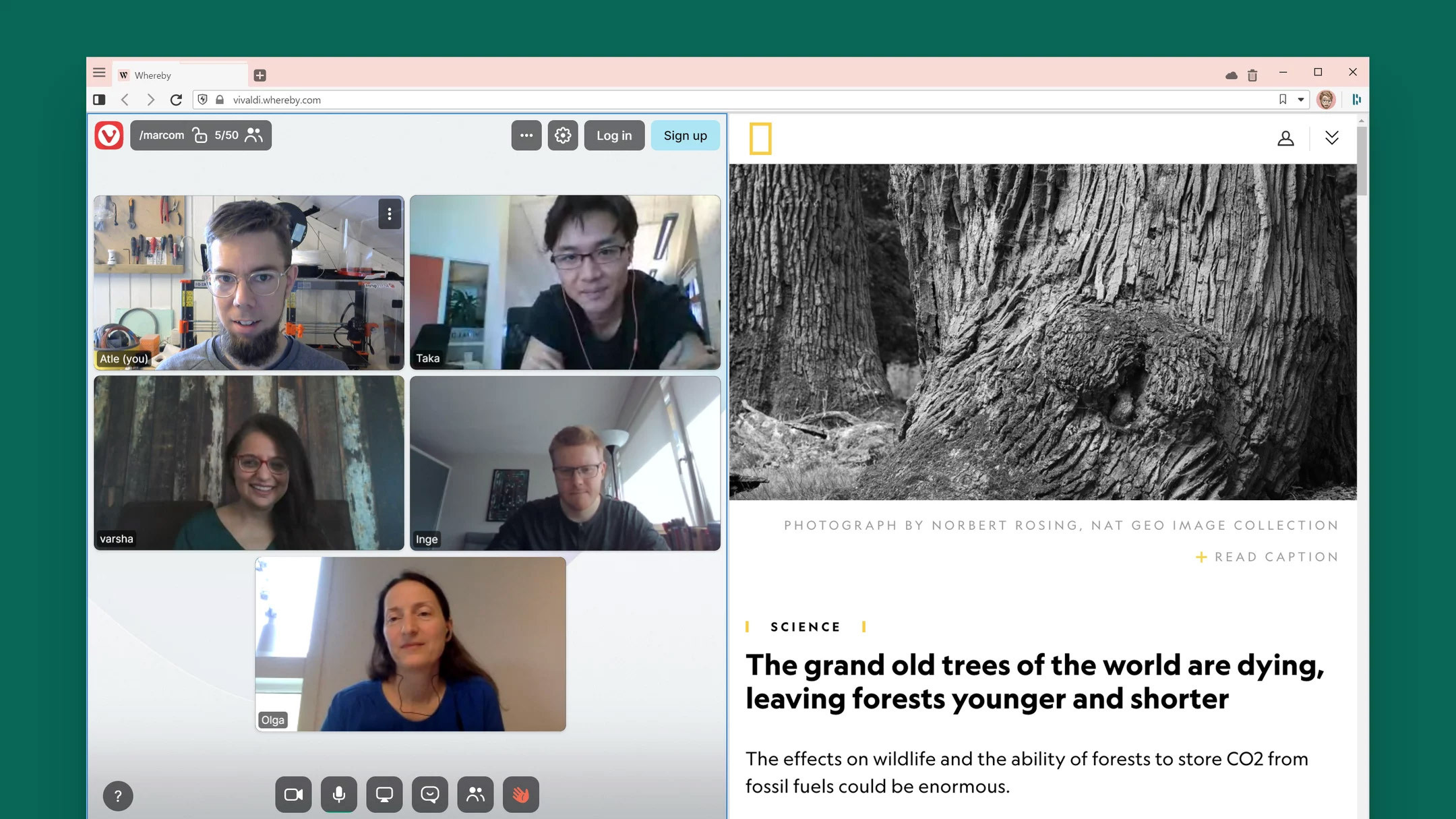 Whereby video conference in Vivaldi browser.