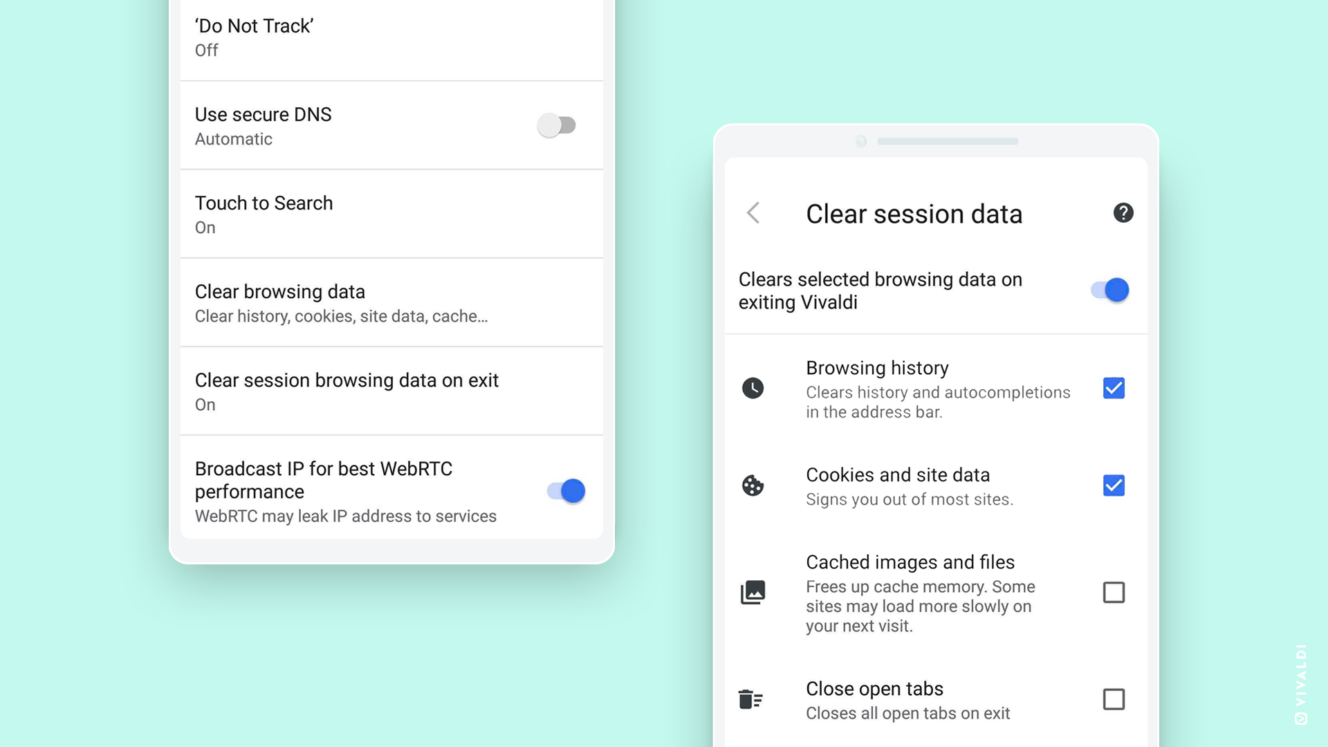 Privacy. Auto-clear data on exit. Disable WebRTC