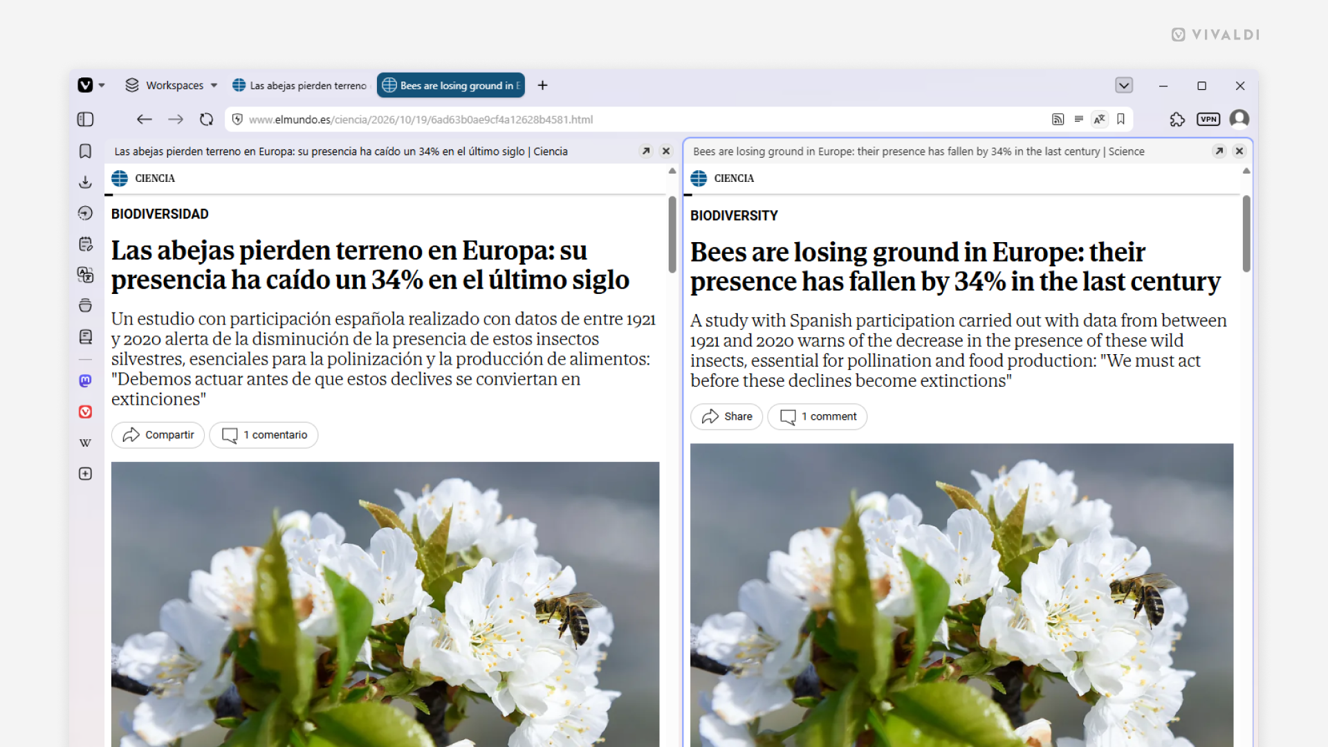 Two tabs from the same web page in a tiled view. The one on the right has been translated.