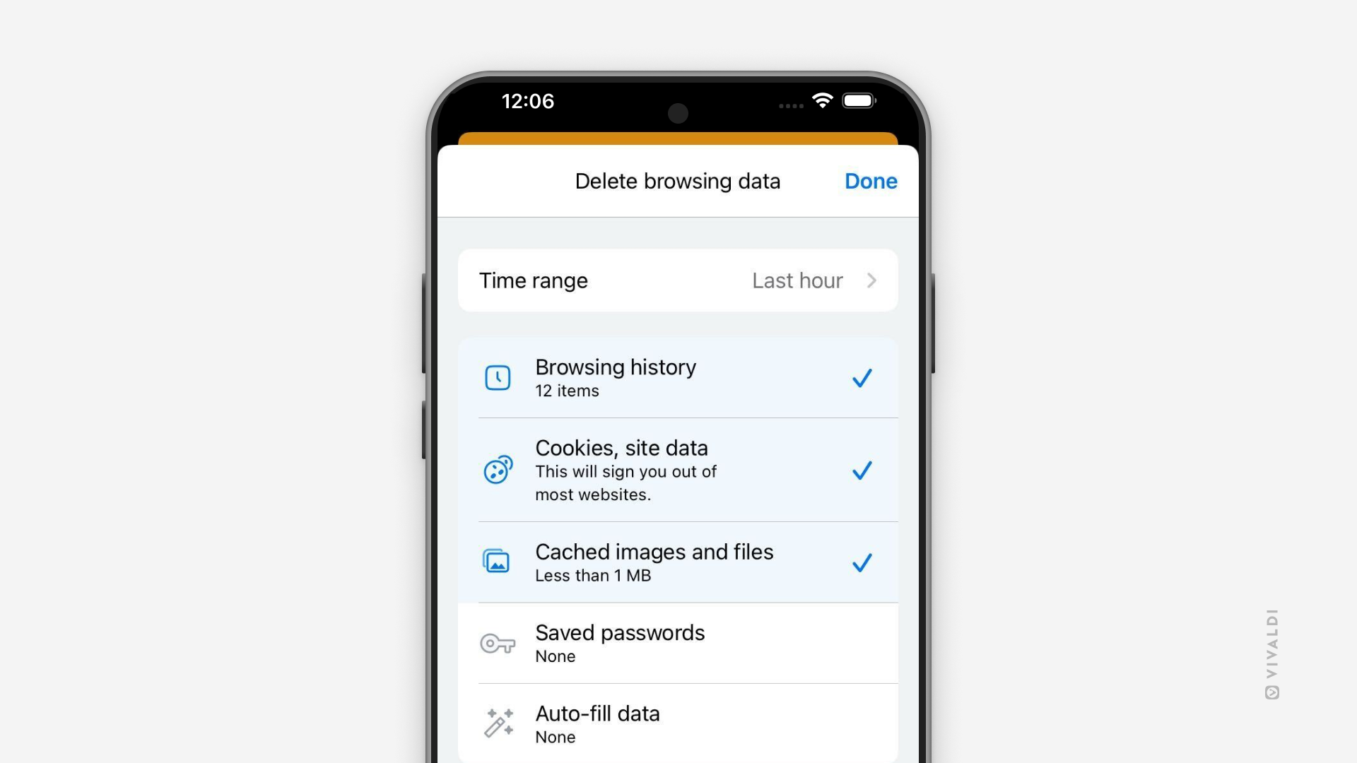 Delete browsing data settings open in Vivaldi on iOS.