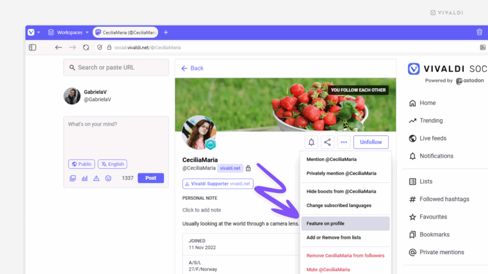An account's profile on Vivaldi Social, The profile's menu is open and an arrow points at the "Feature on profile" option.