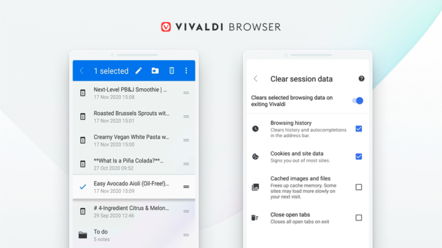 Vivaldi 6.1.3035.84 download the new version for iphone