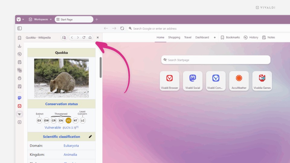 Wikipedia article open in Vivaldi browser's Web Panel. An arrow points at the panel's home button.