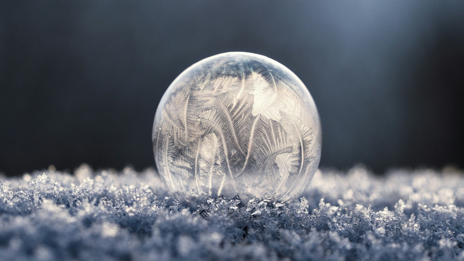Frozen bubble on snow
