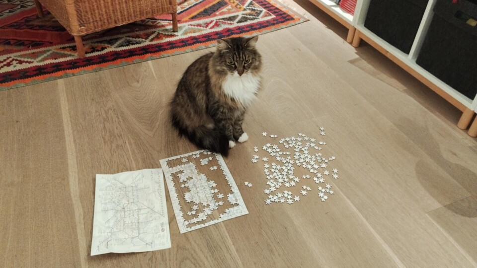 A cat sitting in front of a half finished puzzle, given the impression he has been working on it.