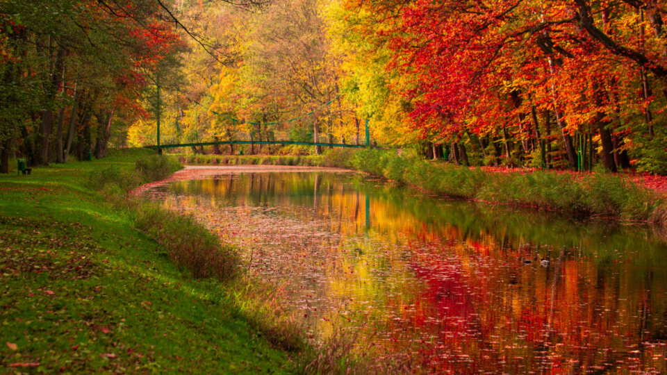 Colourful autumn trees reflected in a calm river beneath a small bridge.