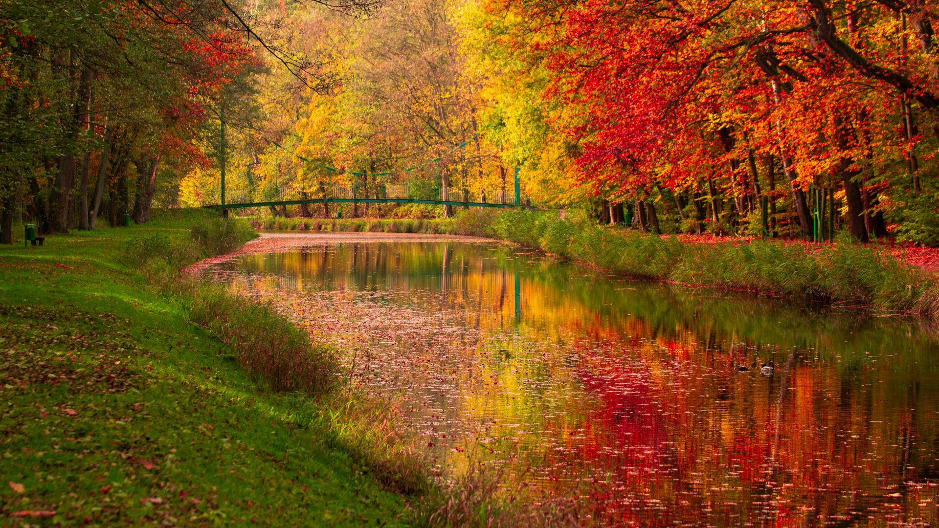Colourful autumn trees reflected in a calm river beneath a small bridge.