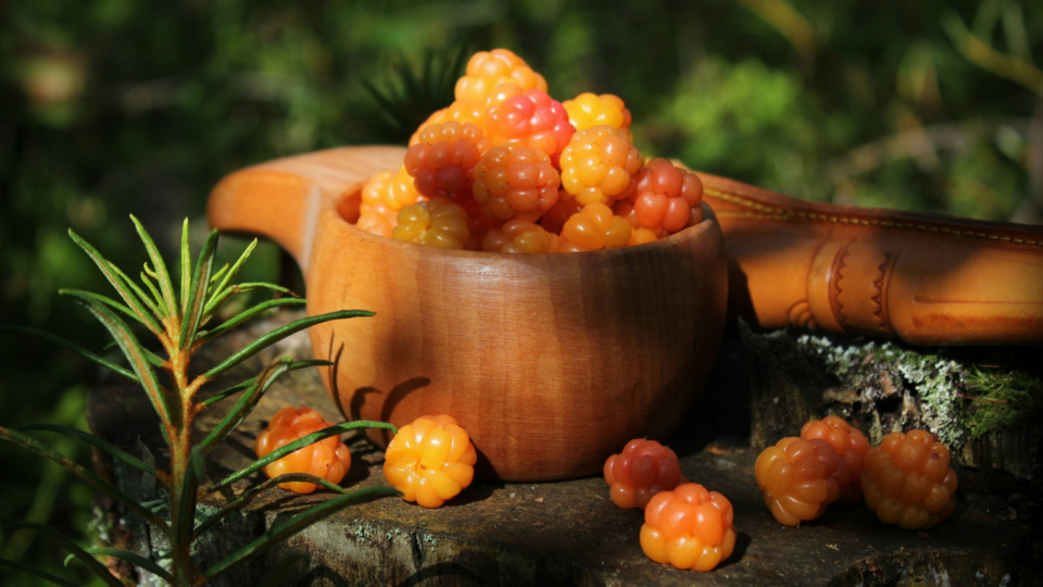 A wooden cup full of cloud berries on a tree stump.