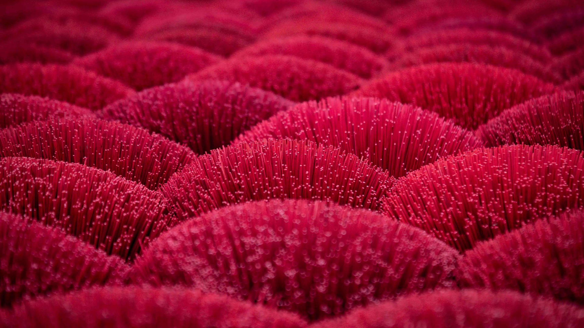 A close-up of red incense bundles arranged in uniform, circular clusters.