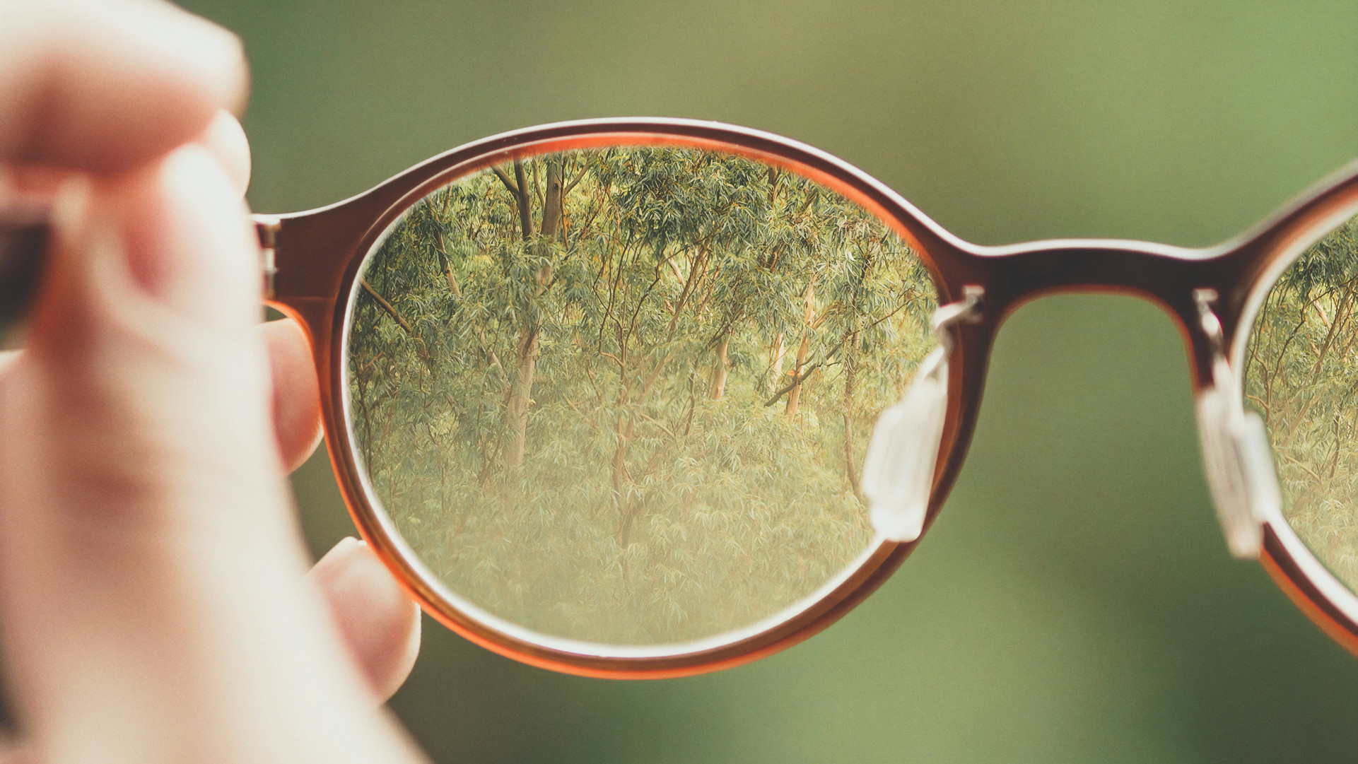 Hand holding eyeglasses that bring trees into sharp focus while the background stays blurred