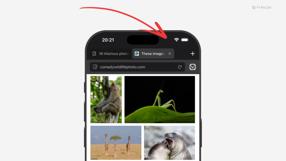 Vivaldi browser open on an iPhone. An arrow points at the phone's status bar.