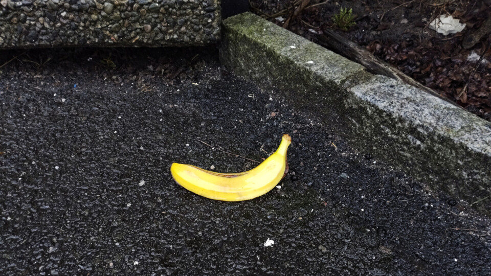 A banana skin resting on wet tarmac