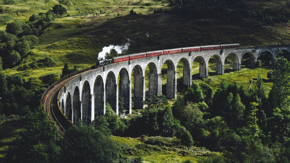 Train on bridge surrounded by greenery.