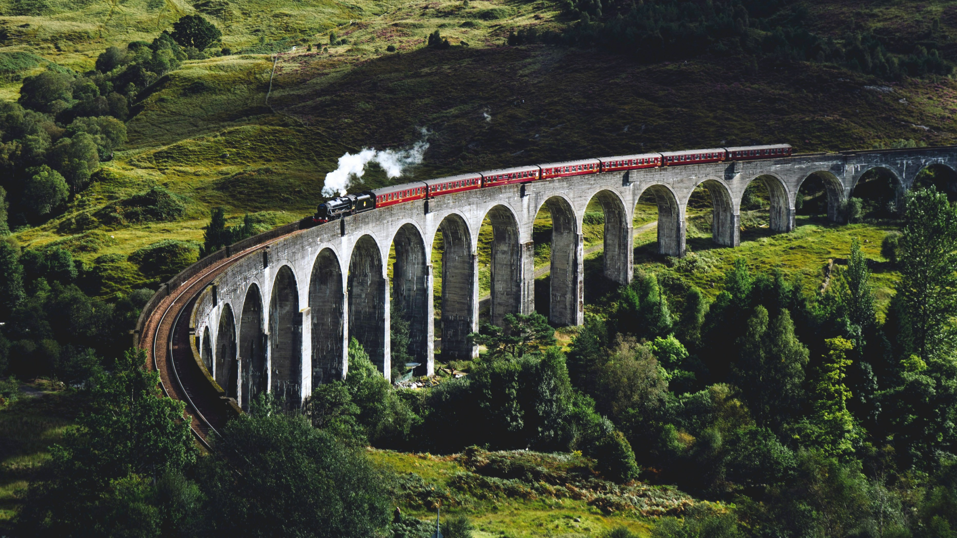 Train on bridge surrounded by greenery.