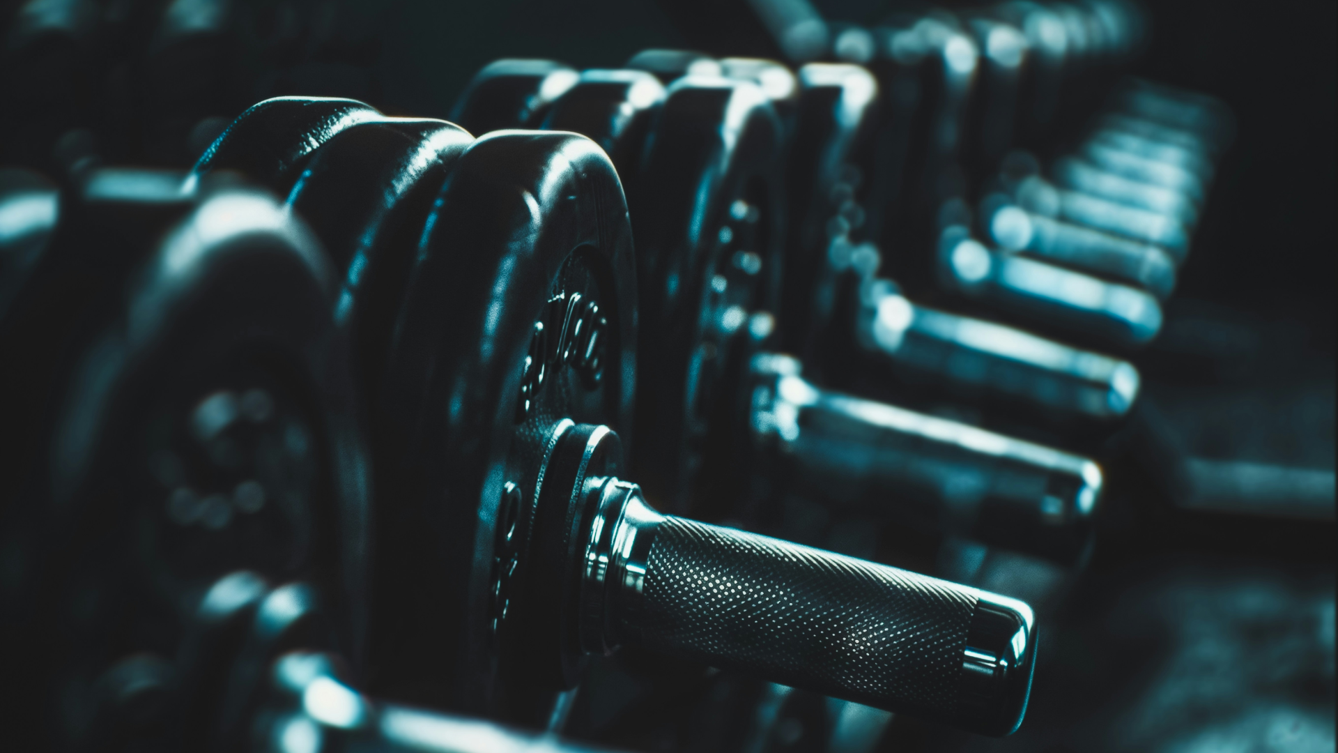 A rack of dumbbells.