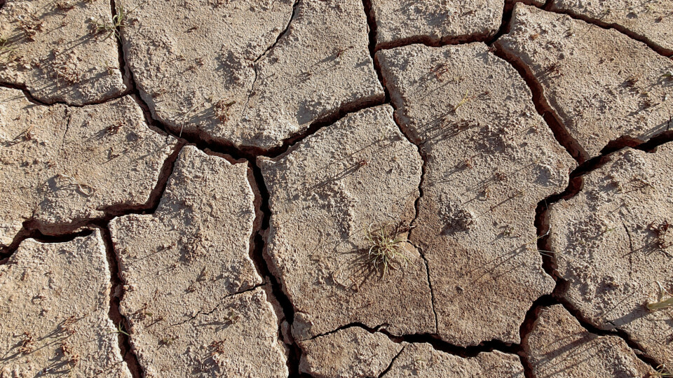 Cracked, dry earth