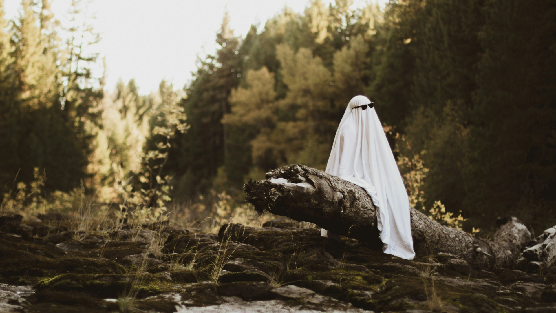 A person dressed as a ghost sits on a fallen log in a mossy forest.