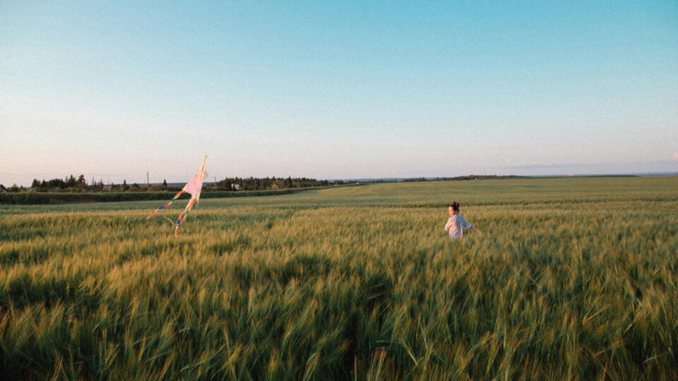 Person flying a colorful kite in a wide grassy field under a clear evening sky.