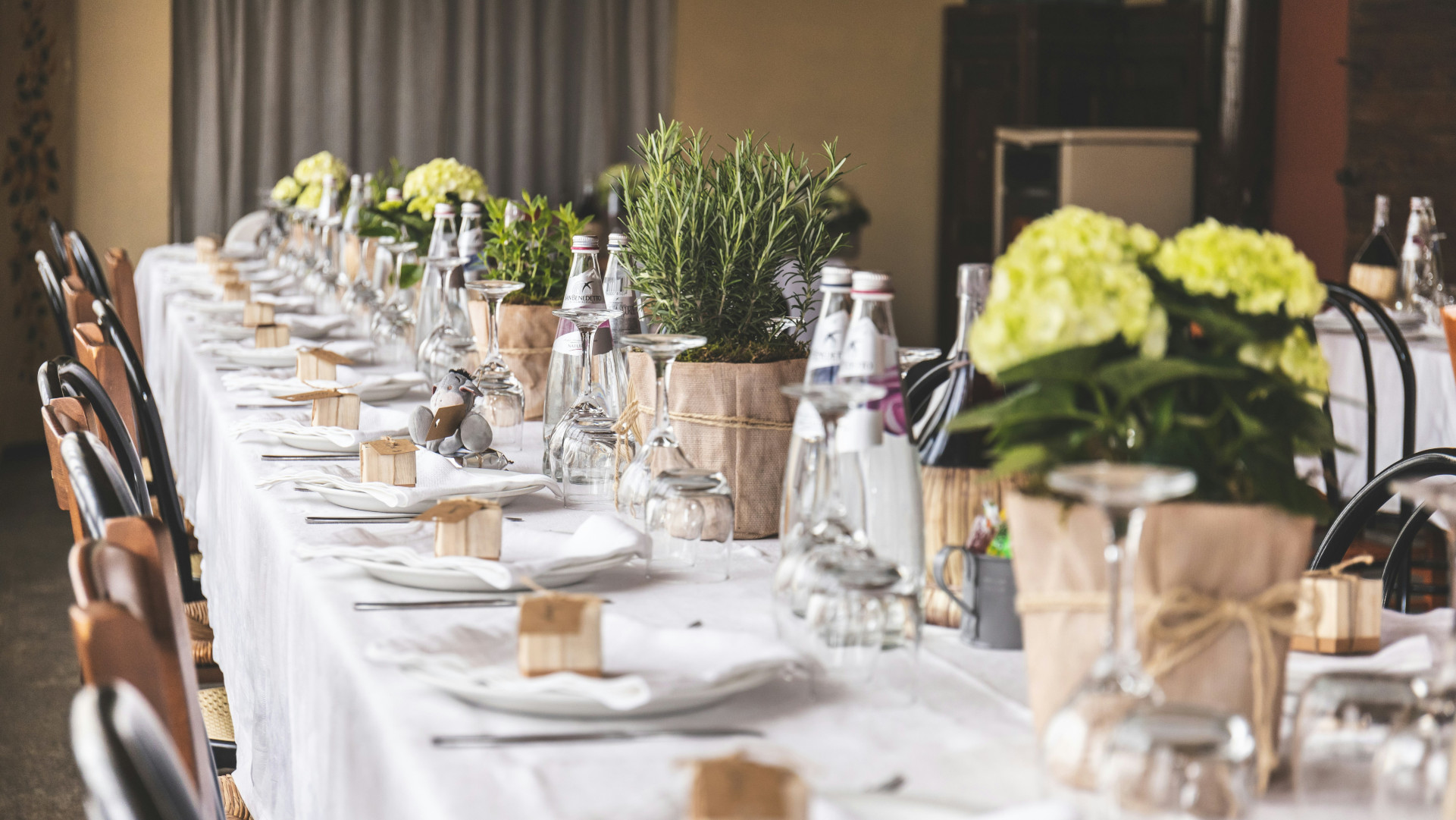 A long dining table set for a formal meal with plants and neatly laid out.