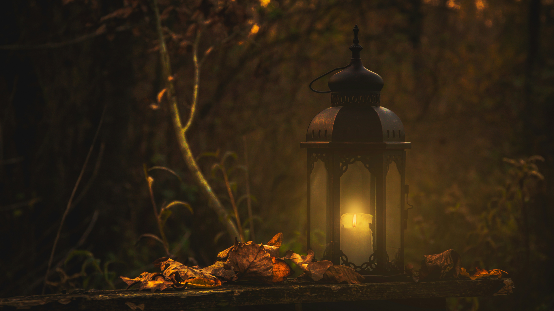 Yellow pillar candle in black lantern surrounded by fall foliage.