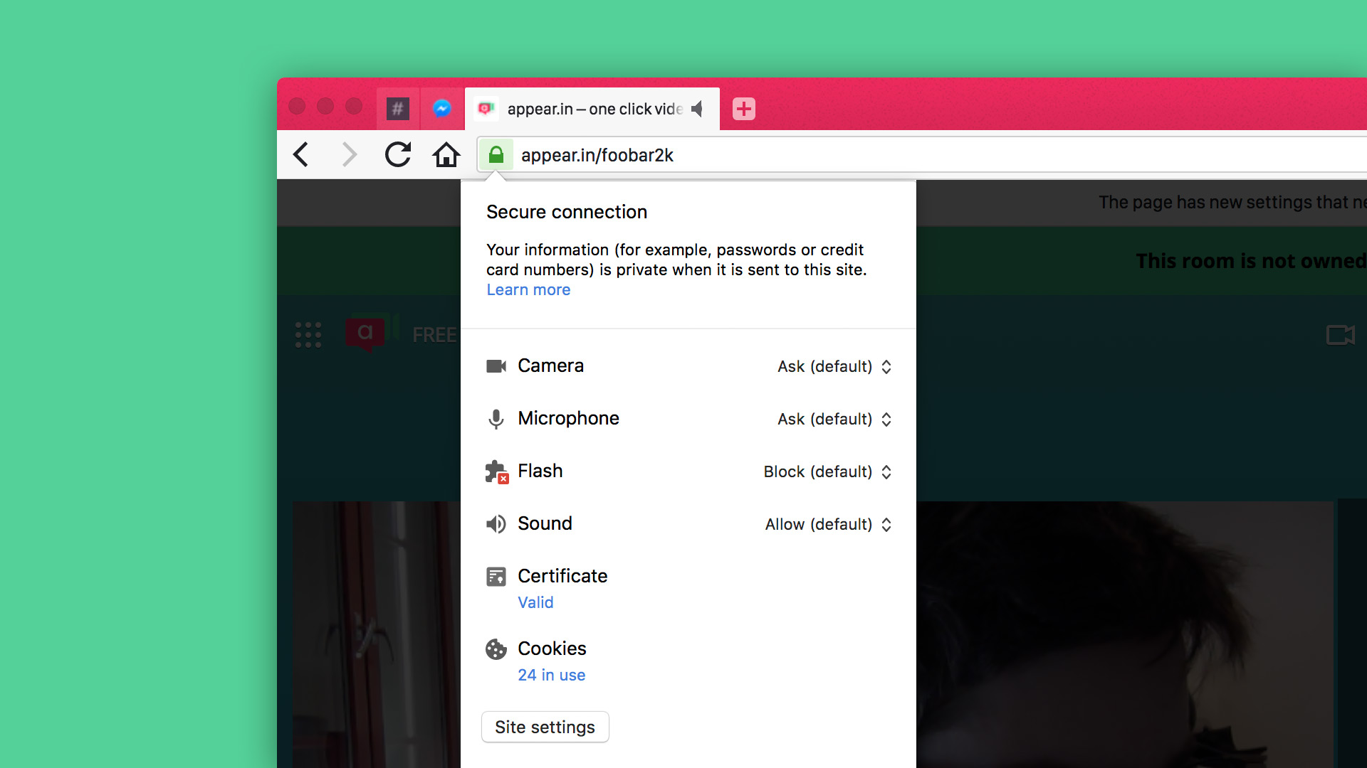 The site info pane in Vivaldi browser displaying site-specific permissions