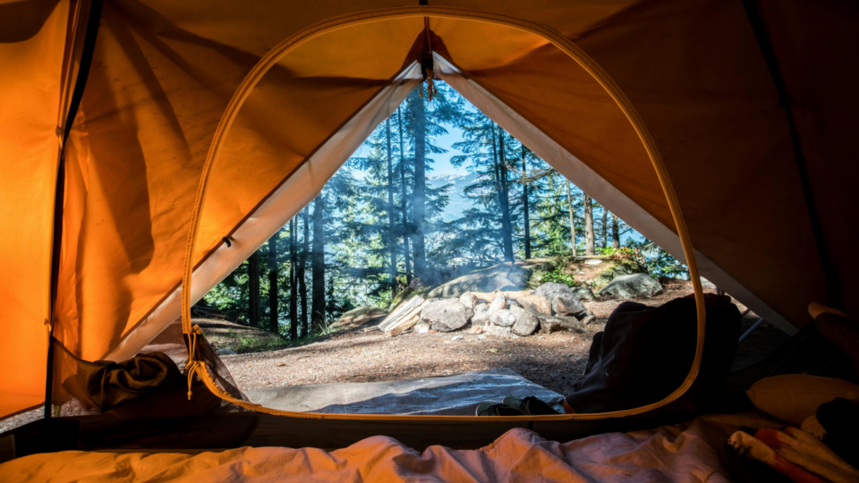 View from inside of a tent to trees and a rocks.