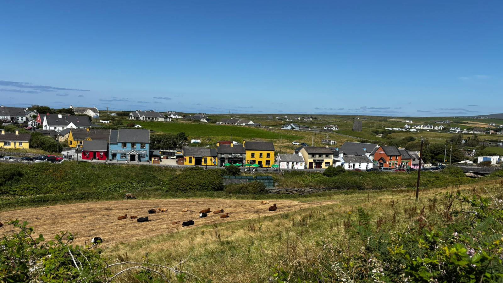 A colorful rural village surrounded by green fields under a clear blue sky, with several cows resting in the foreground.