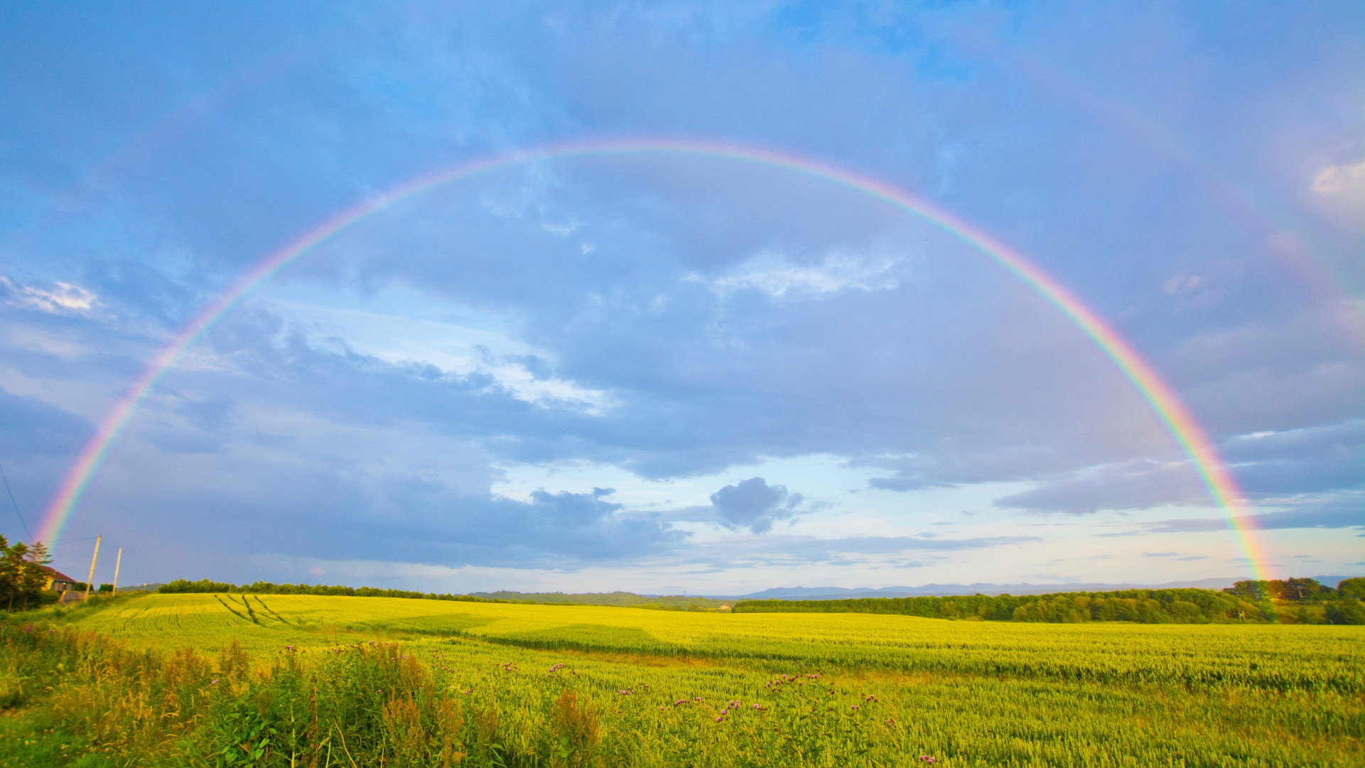 Rainbow over a field
