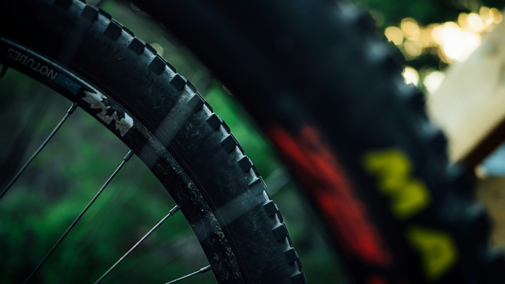 A close up image of part of a bicycle wheel