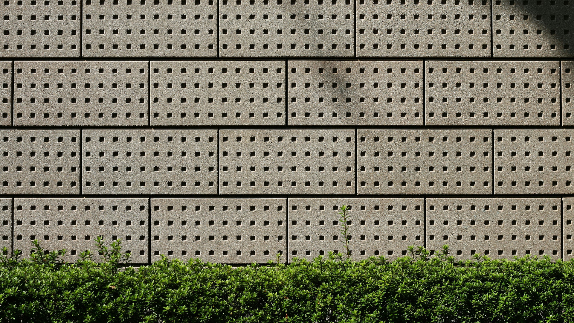 A wall of gray bricks, with a verge of grass along the bottom