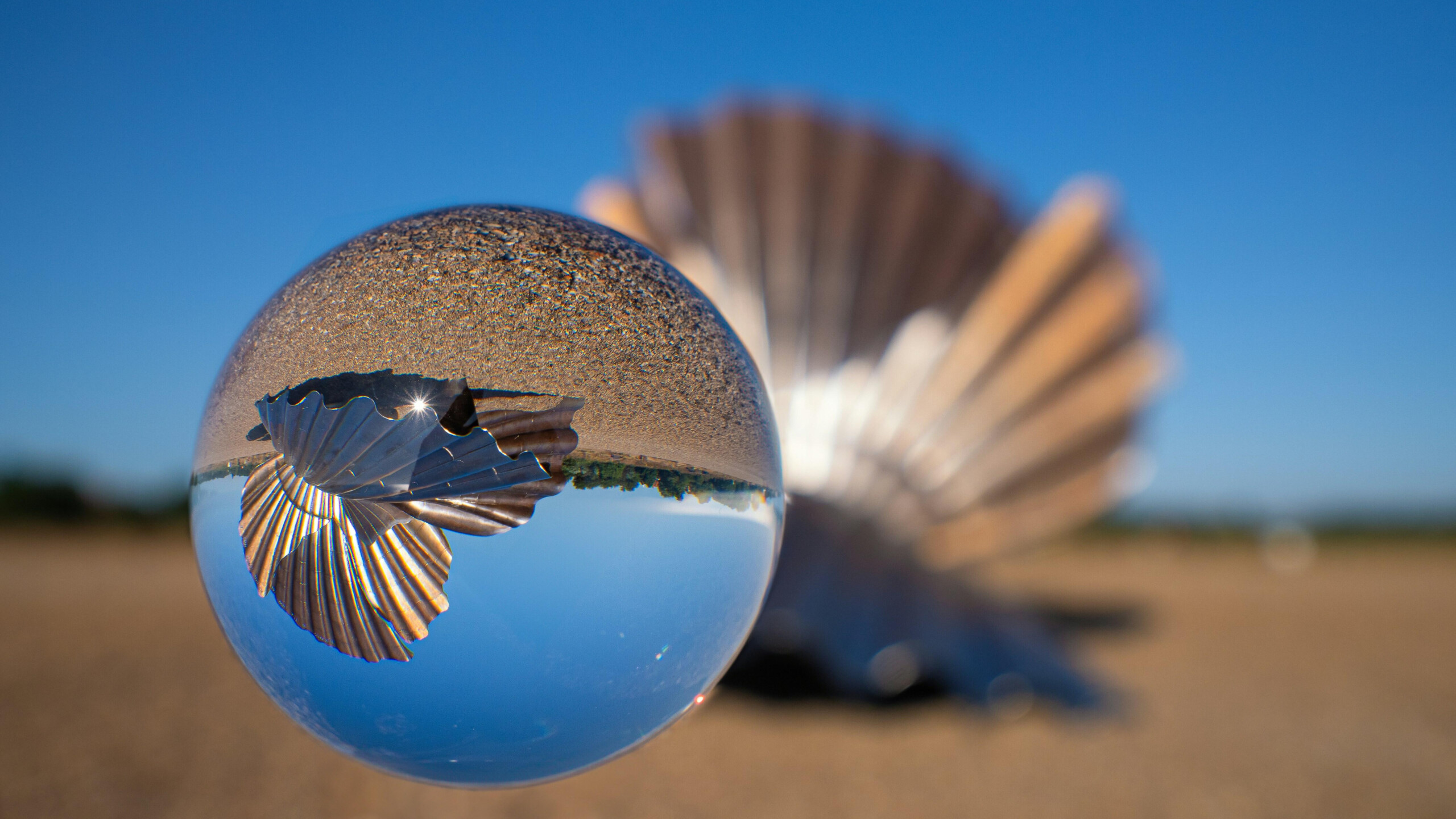 Minor update(2) for Vivaldi iOS Browser 7.8 | Vivaldi Browser