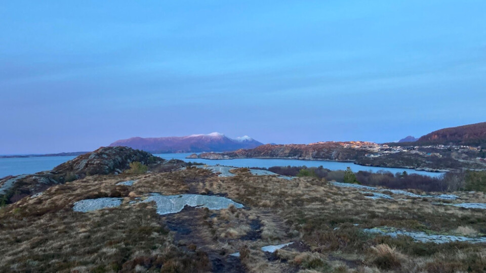 Overlooking water and snow covered peaks, with vegetation and rocks in the foreground.