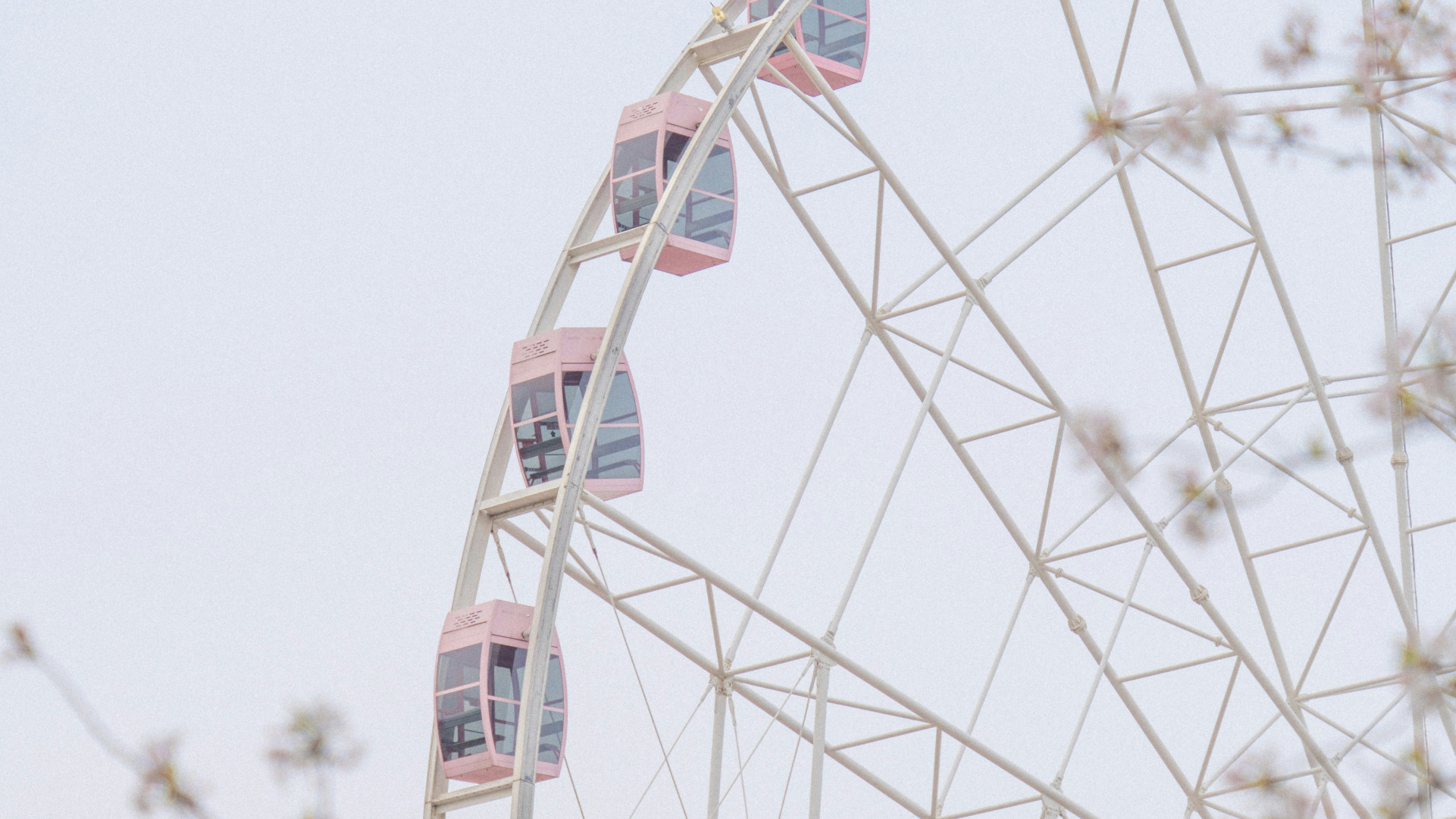 Pink gondolas on a white Ferris wheel against a white sky