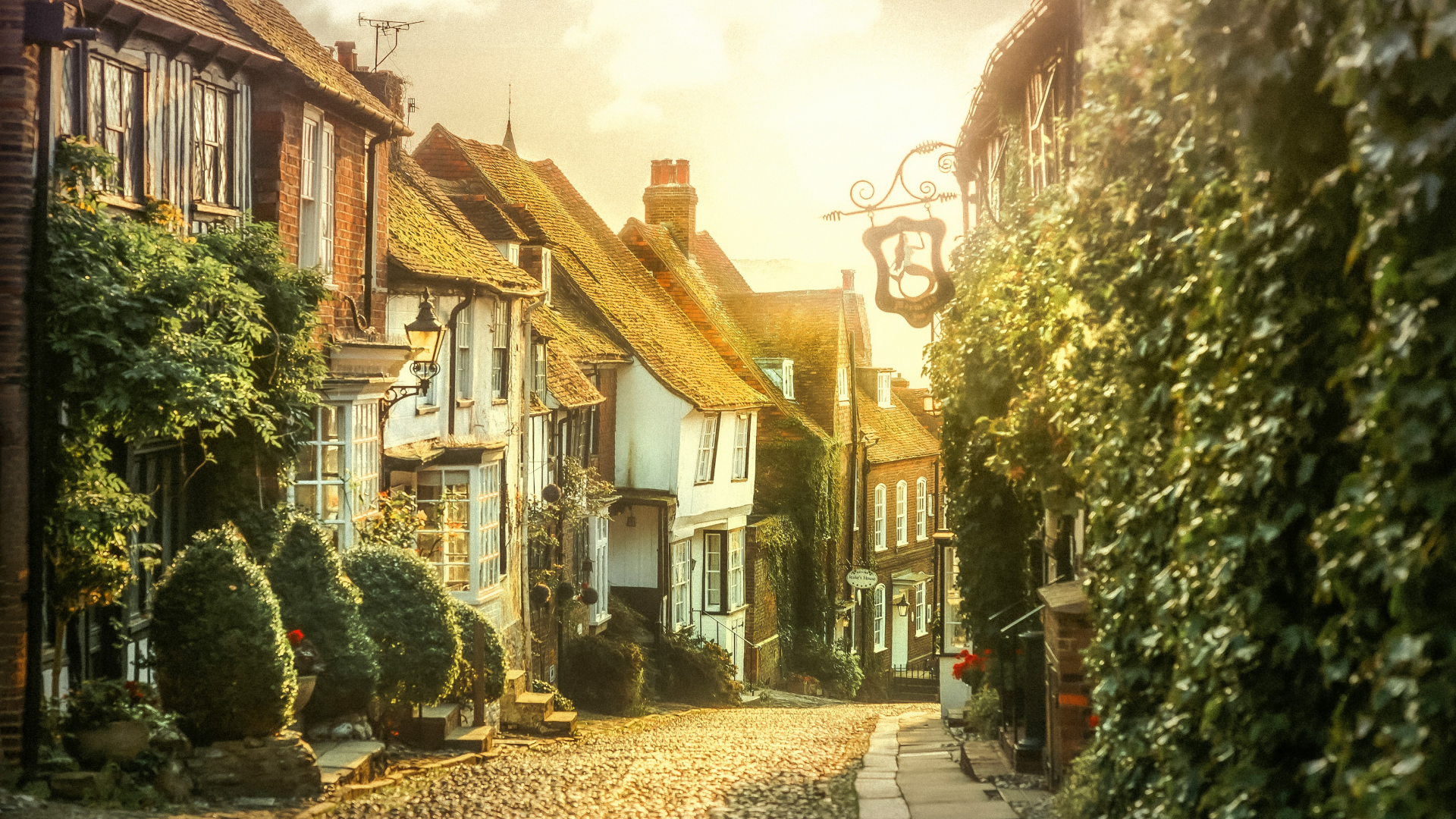 Cobbled street with old houses, some covered in ivy on both sides.